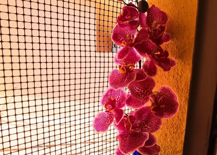 Nuvole Guest house 3*